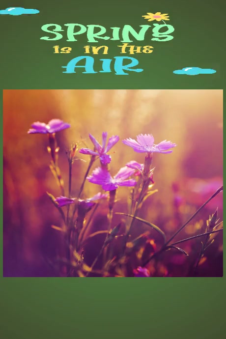 Spring logo,flyer,facebook and insta post Плакат template