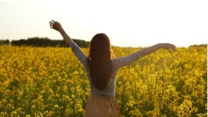 Jaune Nature Foto Sampul Saluran YouTube Template