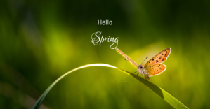 Spring Poster Facebook 共享图片 template