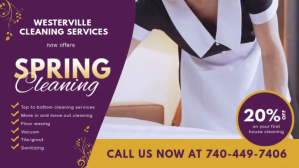 Purple Spring Cleaning Service Video template
