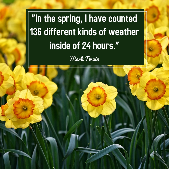 Spring Quote Horizontal Layout Spring Quotes Template | PosterMyWall