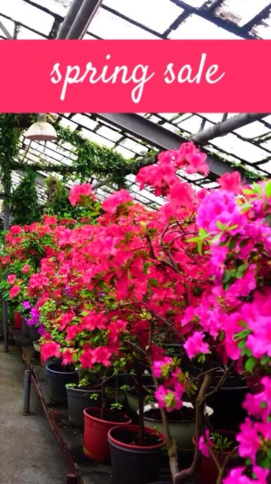 Spring Sale Templates | PosterMyWall