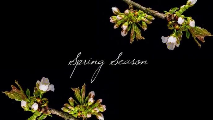 Spring Season Begins 2021 Template | PosterMyWall