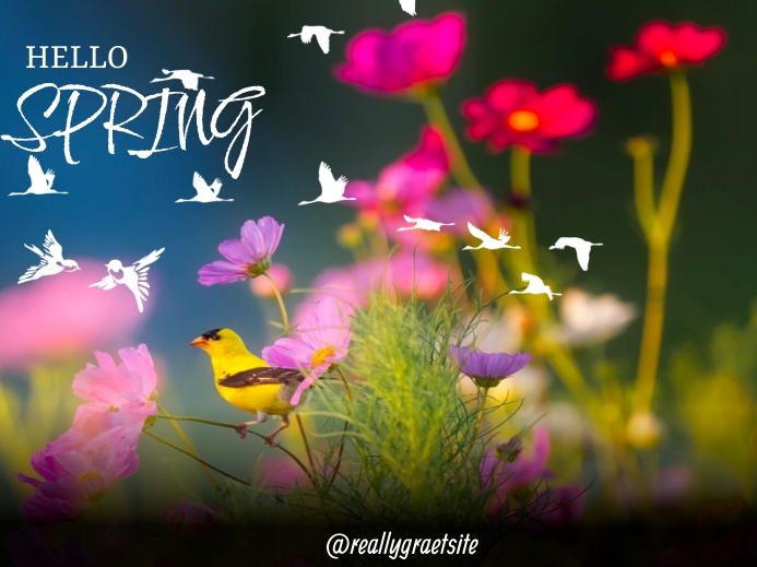 Spring Season Template | PosterMyWall