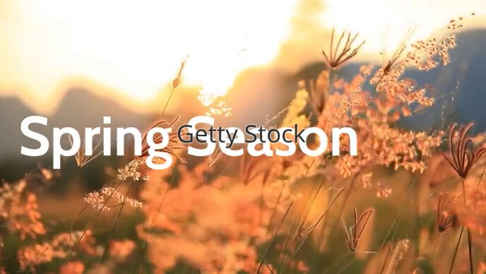 Spring Season video poster template | PosterMyWall