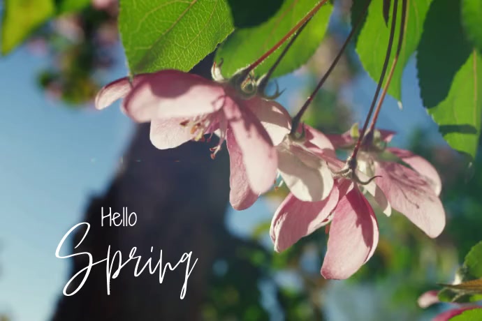Spring Emplate Spring Template | PosterMyWall