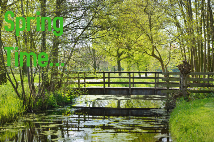 Spring Time Template | PosterMyWall