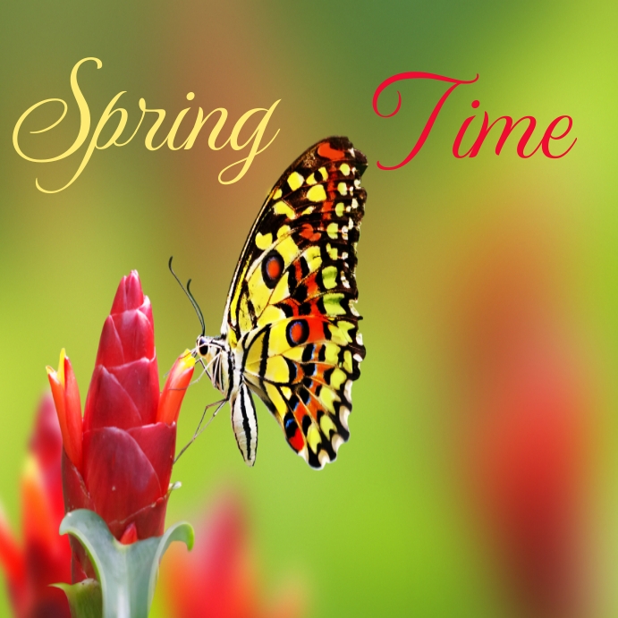 Spring time hello spring Instagram post templ Template | PosterMyWall