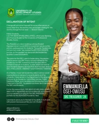 Src Campaign Flyers template
