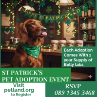 ST Patrick Dog Pet love Vet Adoption  Bar Event โพสต์บน Instagram template