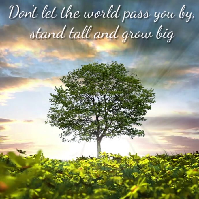 Stand tall and Grow Big Square (1:1) template