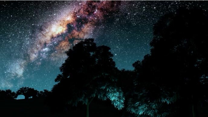 Virtual meeting bingo card Virtual meeting bingo card