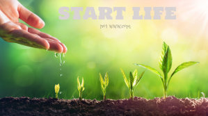 start life YouTube-miniature template