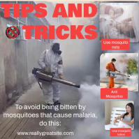 สีเทา Mosquito Prevention Tips Publicación de Instagram Template
