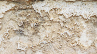 Stone texture Template | PosterMyWall