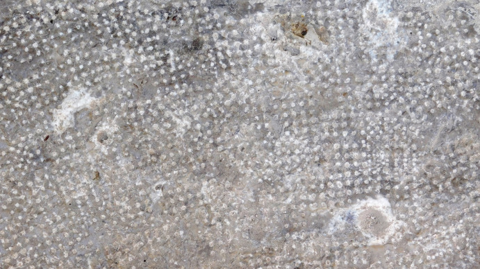 Stone texture Template | PosterMyWall