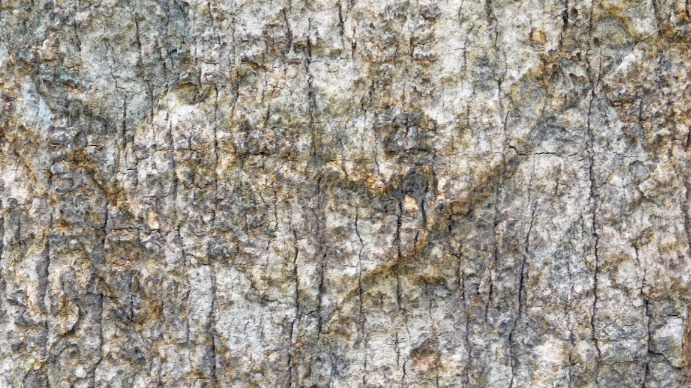 Stone texture Digital Display (16:9) template