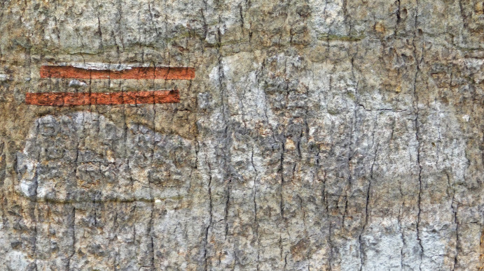 Stone texture Digital Display (16:9) template