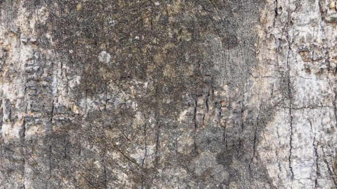 Stone texture Digital Display (16:9) template