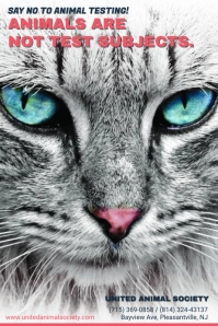 Stop Animal Testing Awareness Poster Template 海报