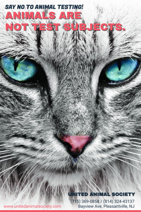 Stop Animal Testing Awareness Poster Template | PosterMyWall