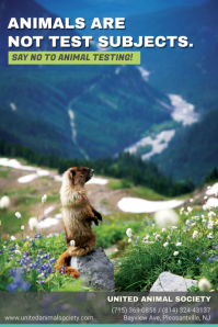 No Animal Testing Poster Stop Animal Testing Flyer Template | PosterMyWall