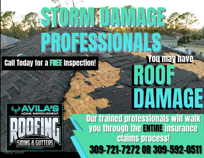 STORM DAMAGE Flyer (US Letter) template