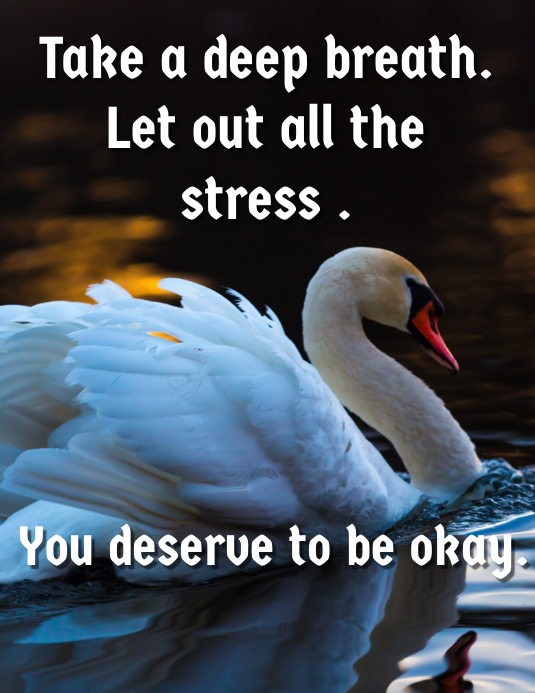 Stress out ,be happy Flyer (US Letter) template