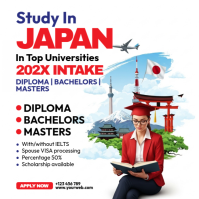 Study In Japan Square (1:1) template