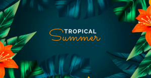 summer Facebook-Anzeige template