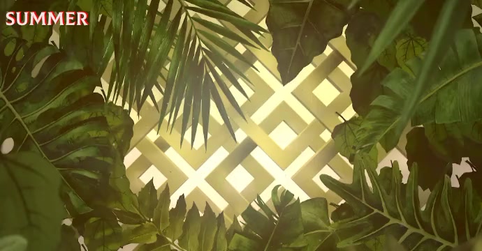 Summer Facebook Ad template