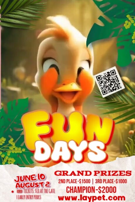 Summer Fundays Poster Video Plakkaat template