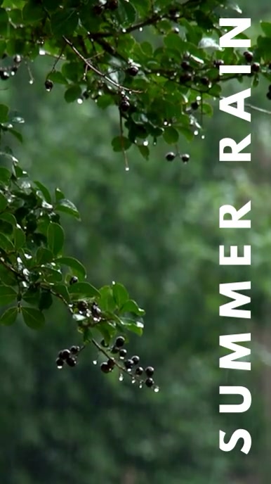 Summer Rain Template PosterMyWall