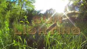 Sun light and tree YouTube-miniature template