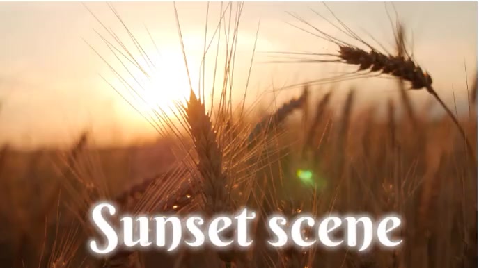 Sunset view Digital Display (16:9) template