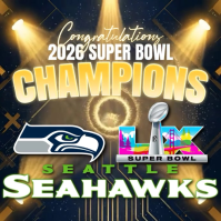 Super Bowl Championship Celebration Instagram Post Video Instagram-Beitrag template