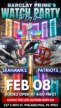 Super Bowl Watch Party Instagram-verhaal Template