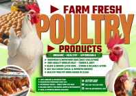 Supplying Poultry With Farm Quality A4 template