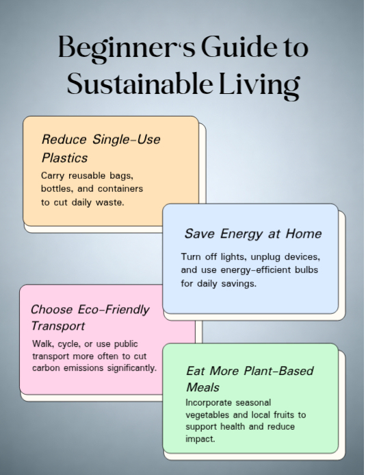 Photo inspiration: Sustainable Living Guide Flyer Template Photo Inspiration