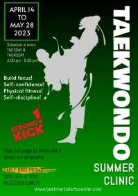 Taekwondo Summer Clinic Flyer A4 template