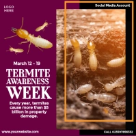 Termite Awareness Week โพสต์บน Instagram template