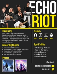 Tex hex press kit vertical flyer template Volante (Carta US)