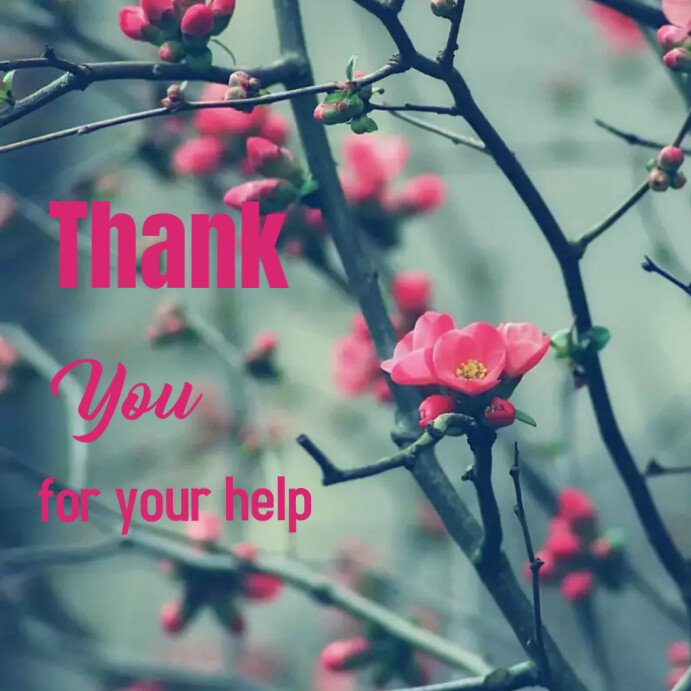 Copy of Thank You.instagram poster | PosterMyWall