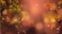 thanksgiving Digital Display (16:9) template