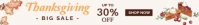 thanksgiving etsy banner template