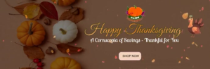 thanksgiving promo email header size ส่วนหัวอีเมล template