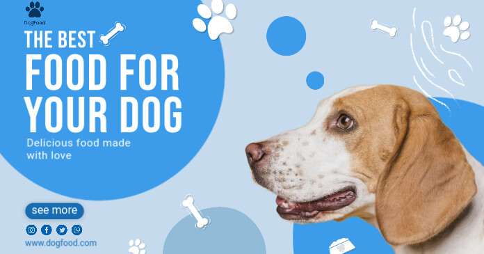 The Best Dog Food Flyer Template | PosterMyWall