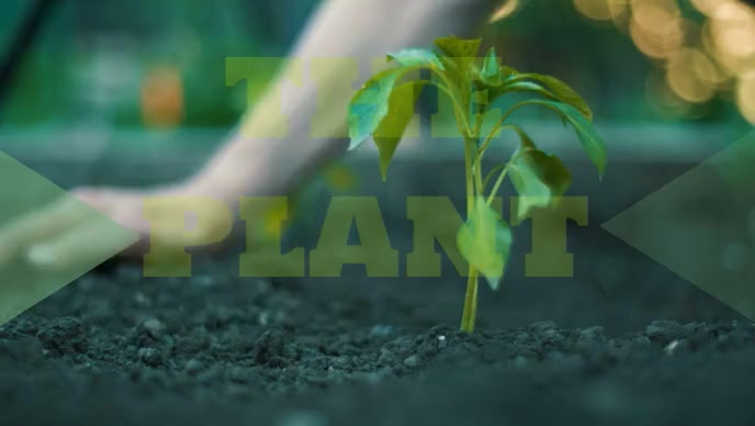 the plant Template | PosterMyWall