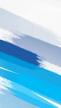 Tiktok Template Instagram Story