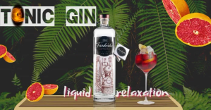 tonic gin/drinks/bar/restaurant/bebidas/menu template